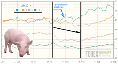 Свиньи - сезонные тенденции, август 2014