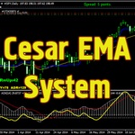 Cesar EMA System