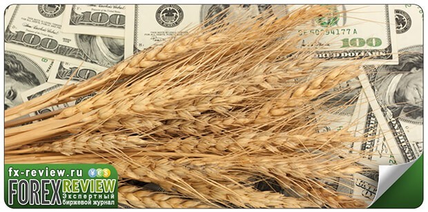 Новости зернового рынка
